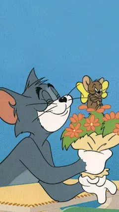 猫和老鼠高清电脑壁纸的搜索结果_360图片