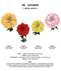 唯美花卉植物插画 彩铅水彩手绘作品 绘画临摹参考素材276张XD002-淘宝网