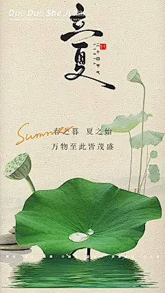 Ke_Yang采集到立夏