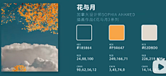 哒小吽&喵呜采集到配色