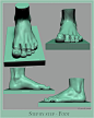 sbs_foot_006.jpg