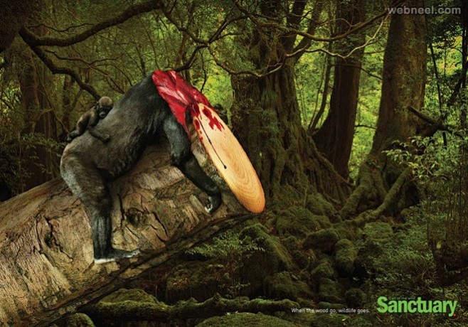 deforestation ads cr...