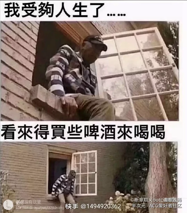 梗图-花瓣网