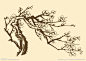 芥子园画谱 梅花大图 点击还原