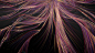 Cybin x Kernel : Tendril was commissioned to craft a brand reveal film and visual asset library announcing the partnership between breakthrough psychedelic research company Cybin and Neuroimaging Technology Kernel. Their mission is to empower humanity and