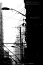 黑白灰_16楼的Leo