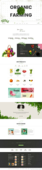 一组生鲜水果蔬菜类网上商城的网页设计参考 #电商官网设计精选# #设计秀# ​​​​