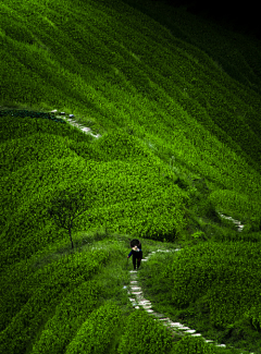 姜亚采集到旅行