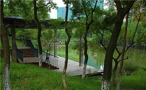 滨水设计 - 建筑设计 - 场所与环境设...