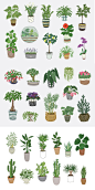 36种植物插画矢量素材下载 EPS - 设汇