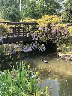 bms11采集到风景