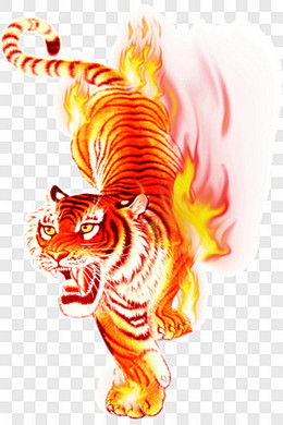 燃烧火焰虎装饰图案PNG图片➤来自 PN...