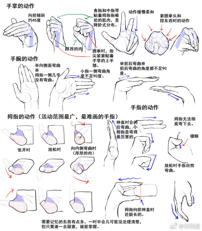 #绘画参考#来自漫画素材工房（id=16...