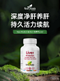 0913微博封面（奶蓟草肝脏胶囊）