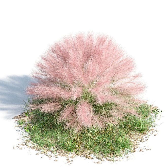 草花