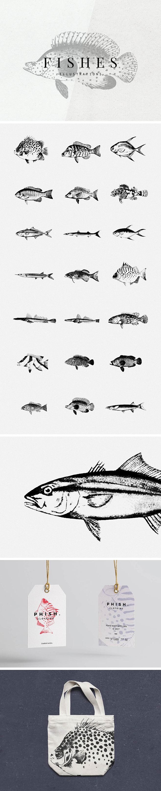 timg 1 - 海鲜鱼类手绘素描图案品...