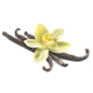 香草花-1