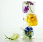 Food Style / Floral Cubes / Martha Stewart Living