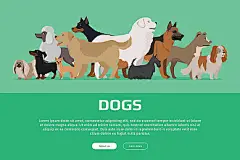 电脑壁纸_图片大全_全景网