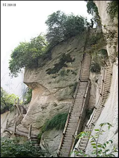 招福的耳朵VG  的插画 华山