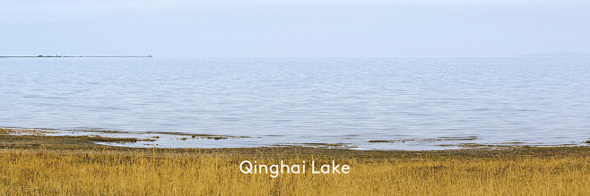 青海湖，最后一张略搓-lefrog
