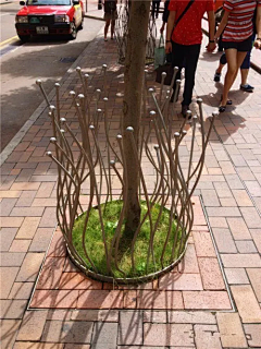 造狗窝采集到树池花箱