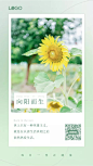 文艺正能量日签海报