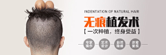 彩虹色橘子采集到1