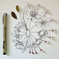 Flowers in Progress: Scientific Illustrator Taunts Us with Spring illustration flowers