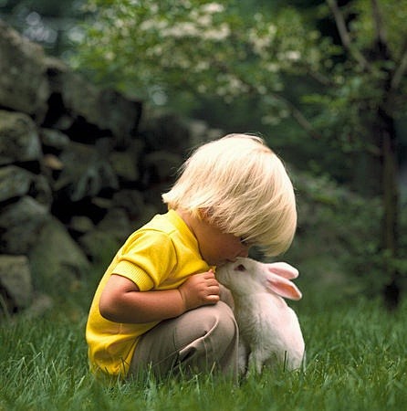 唐小万的相册-孩子和小动物都是真爱