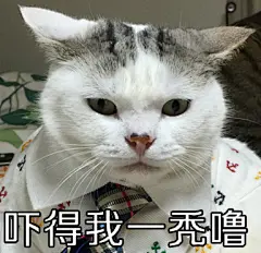 #喵星人大咪小乖##表情包#不行了不行了啊哈... 来自巧克力喵星人在东京打伞 - 微博