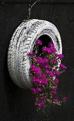 用轮胎做花盆也很美丽啊