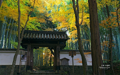 geemiya采集到场景景观素材01