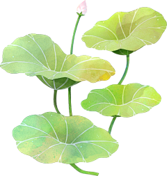zyx10625采集到免扣植物
