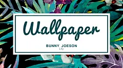 #扁平# #生活# #iphone# #手机# #life# #几何# #壁纸# #色彩# #黑白# #点线面# #白# #黑# #森林# #热带植物# #iPhone7# #安卓# #龟背竹#