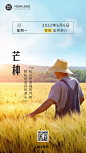 芒种节气问候日签手机海报