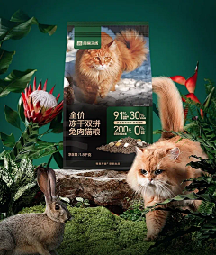 badboybyd采集到宠物详情页参考