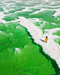 〖茫崖翡翠湖〗一颗绿水明珠，治愈的色彩