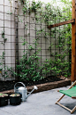 Reo mesh used for climbing plants. Pinned to Garden Design - Walls, Fences & Screens by Darin Bradbury.: 