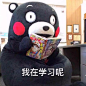 #熊本熊表情包# #熊本熊# #表情包# #熊本熊图片# #熊本熊图库#