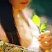 桃花坞里桃花庵
桃花庵里桃花仙
桃花仙人种桃树
又摘桃花卖酒钱

酒醒只在花前坐
酒醉还来花下眠
半醒半醉日复日
花落花开年复年