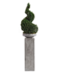 Natural Boxwood Spiral II - Botanicals - Accessories & Botanicals - Our Products