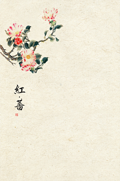 迷途し何先生采集到素材