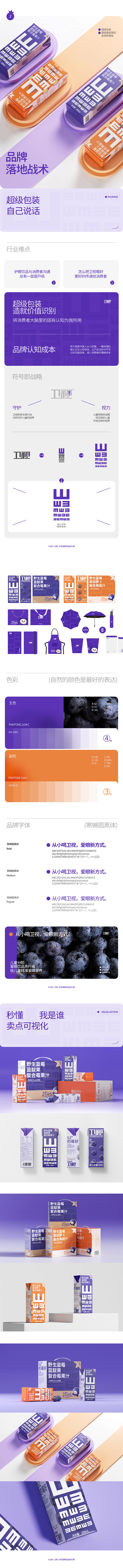 卫视品牌全案升级 -03--松鼠跃动传媒...
