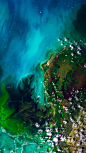 大沼泽地国家公园的卫星视图，佛罗里达州 (© Satellite Earth Art/Aurora Photos)
你现在所看到的是佛罗里达州大沼泽地国家公园的卫星视图，这片沼泽地是美国最大的亚热带荒原。它不是一个静态的湿地，而是一条60英里宽，100英里长的缓慢移动的河流。在这个独特而脆弱的生态系统中，有许多有趣的事情，它是世界上唯一一个美国短吻鳄和美洲鳄共存的地方。
2018-04-24
北美洲, 美国, 大沼泽地国家公园