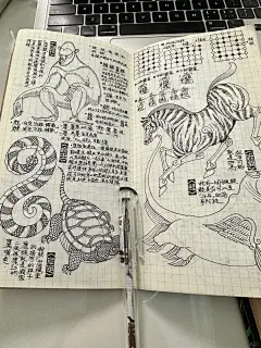 手绘 | 山海经动物 - 小红书