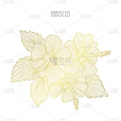 装饰芙蓉花, 设计元素。可用于卡片、请柬、横幅、海报、打印设计。金色花朵