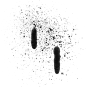 Other Spray Shapes 5