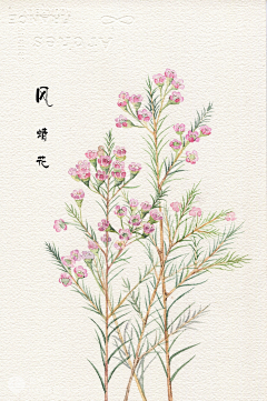 嫩了个嫩采集到水彩