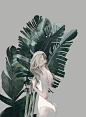 ILLUSTRATOR: Agata Wierzbicka ~: 